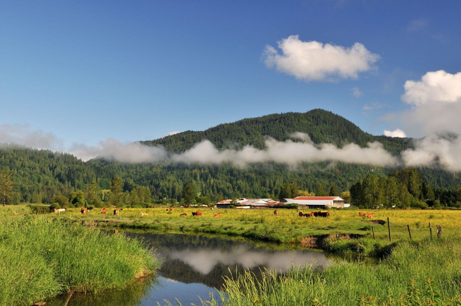 Fraser Valley BC